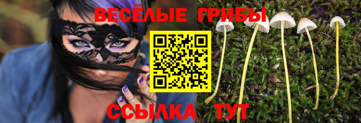 Галлюциногенные грибы Magic Shrooms Майский