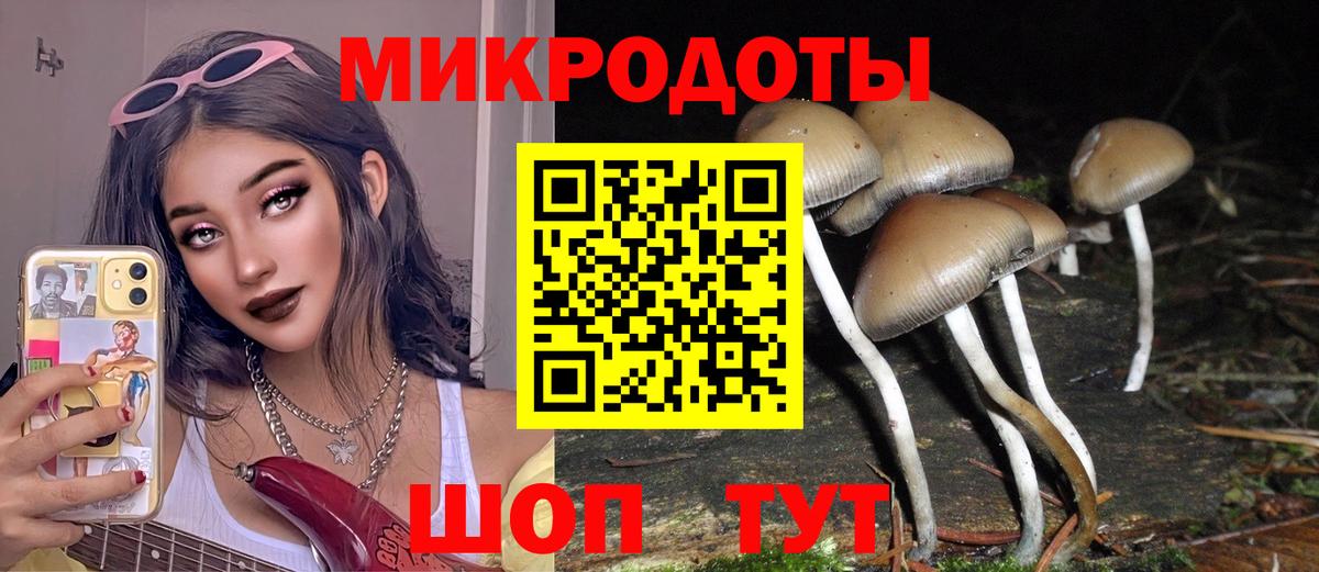 Псилоцибиновые грибы Cubensis  Галлюциногенные грибы Cubensis  Вход с VPN  хочу наркоту  Майский 